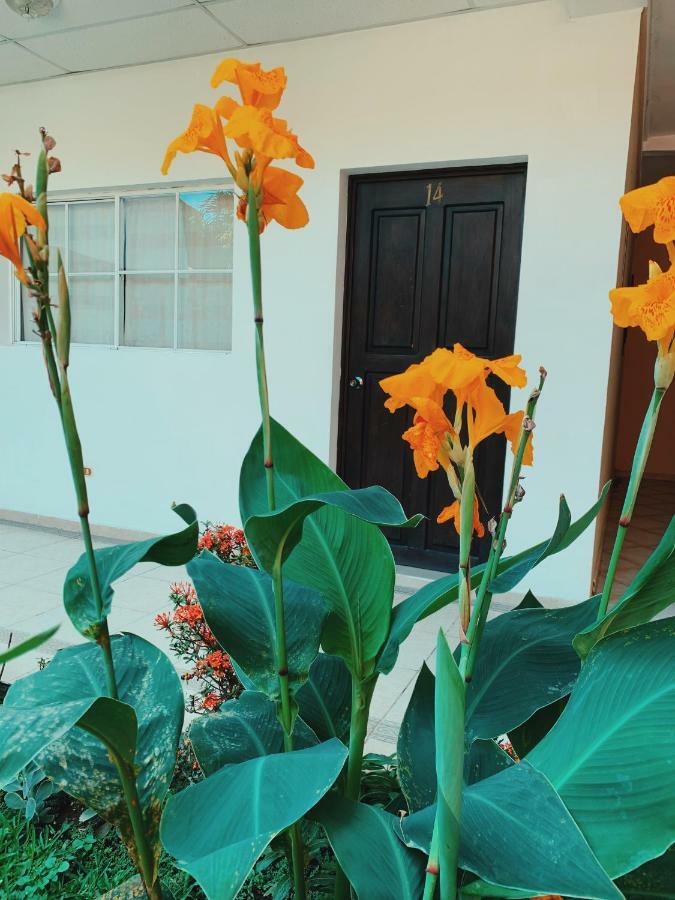 Hotel Santa Elena Antiguo Cuscatlán المظهر الخارجي الصورة